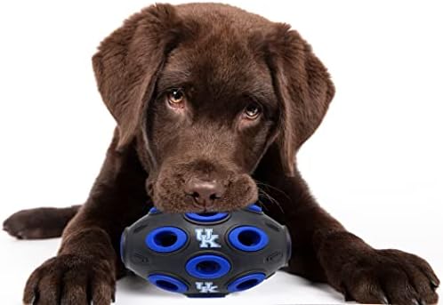 Evcil Hayvanlar İlk NCAA Kentucky Wildcats Futbol Tedavi Köpekler ve Kediler için Oyuncak Dağıtımı, Lastik Top Köpek