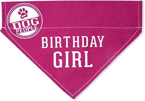 Pavilion Hediye Şirketi Pembe Büyük Köpek Slip-On Yaka Tuval Bandana Doğum Günü Kızı, 12x8 İnç