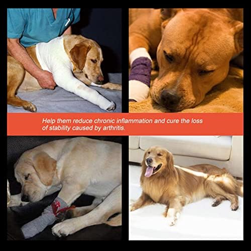 Arka Bacaklar için Keenso Köpek Diş Telleri Köpek Arka Ayaklarını Stabilize Etmek, Yaralanmalara, Burkulmalara, Artritlere