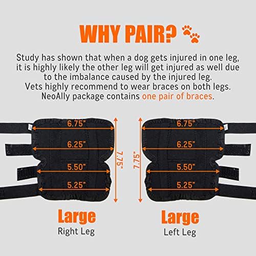 NeoAlly ® - Metal Yaylı Şeritli Arka Bacak Desteği, Arka Bacak için Köpek Bacak Desteği, Ayak Bileği Desteği ve Ayak