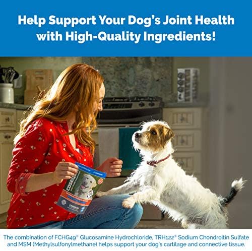 Nutramax Cosequin Köpekler için Maksimum Güç Eklem Sağlığı Takviyesi - Glukozamin, Kondroitin ve MSM ile 60 Çiğnenebilir