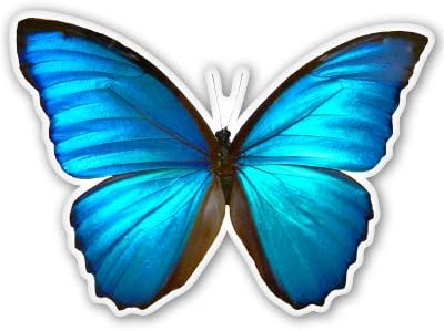 Mavi Morpho Kelebek Güzel Vinil Sticker-Araba Pencere Tampon Dizüstü-Seçiniz Boyutu