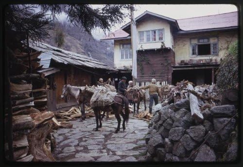 Tarihselfindings Fotoğraf: Erkekler, Atlar, Evin Avlusunda Odun boşaltma, Lachung, Sikkim, Hindistan, Ev