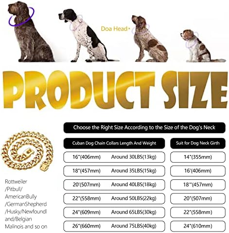 Altın Zincir Köpek Tasması, Orta Büyük Köpekler için Köpek Zinciri Tasmaları, 19mm Kalınlığında Altın Köpek Tasması