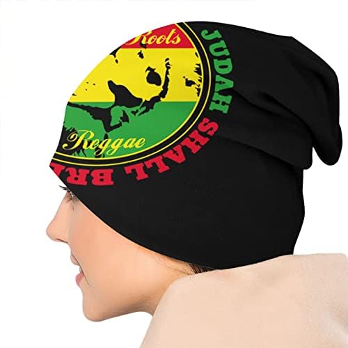 Nıqqzıt Jamaikalı Rasta Reggae Yahuda Aslan Bere Şapka Erkekler için/Kadın hımbıl bere Kafatası Kap Kış Streç Akrilik